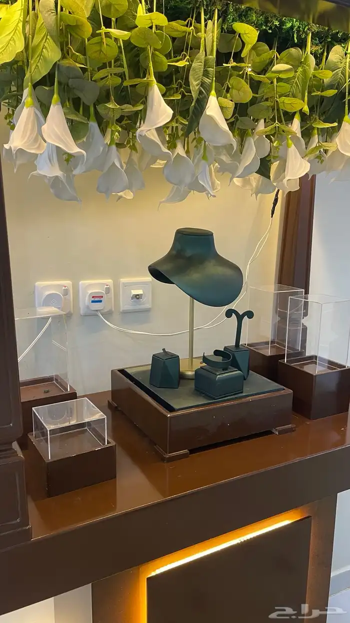 شبكة عرايس 2