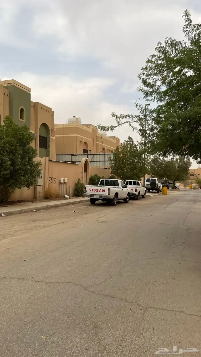 ددسن2009 31