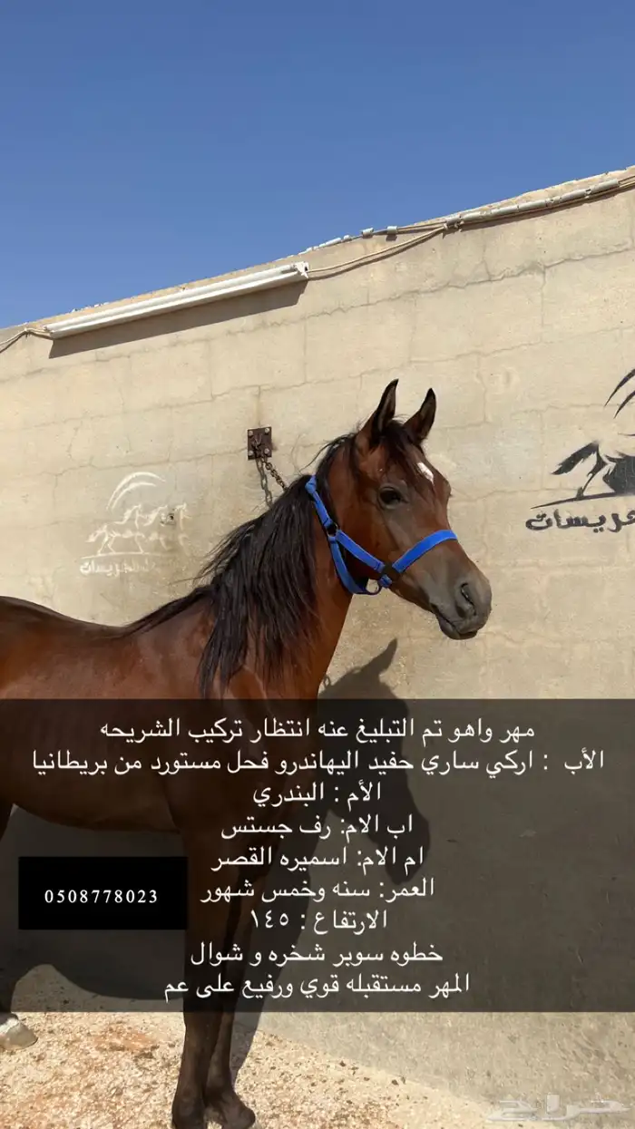 مهر للبيع 0