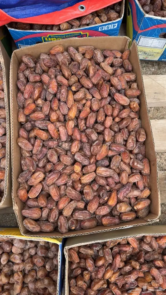 للبيع تمر صفري اشعل انتاج السنه كفو ناهي 0