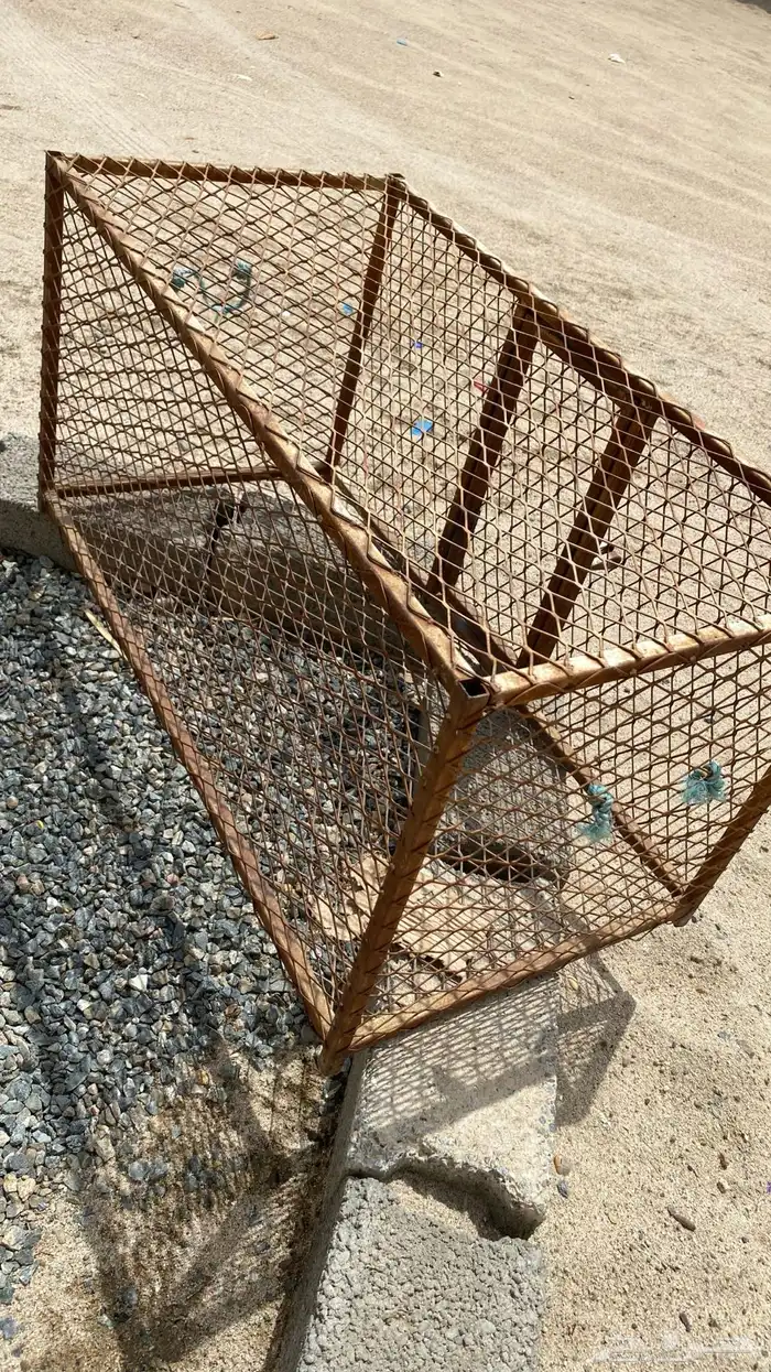 شبك دجاج بيشه 0