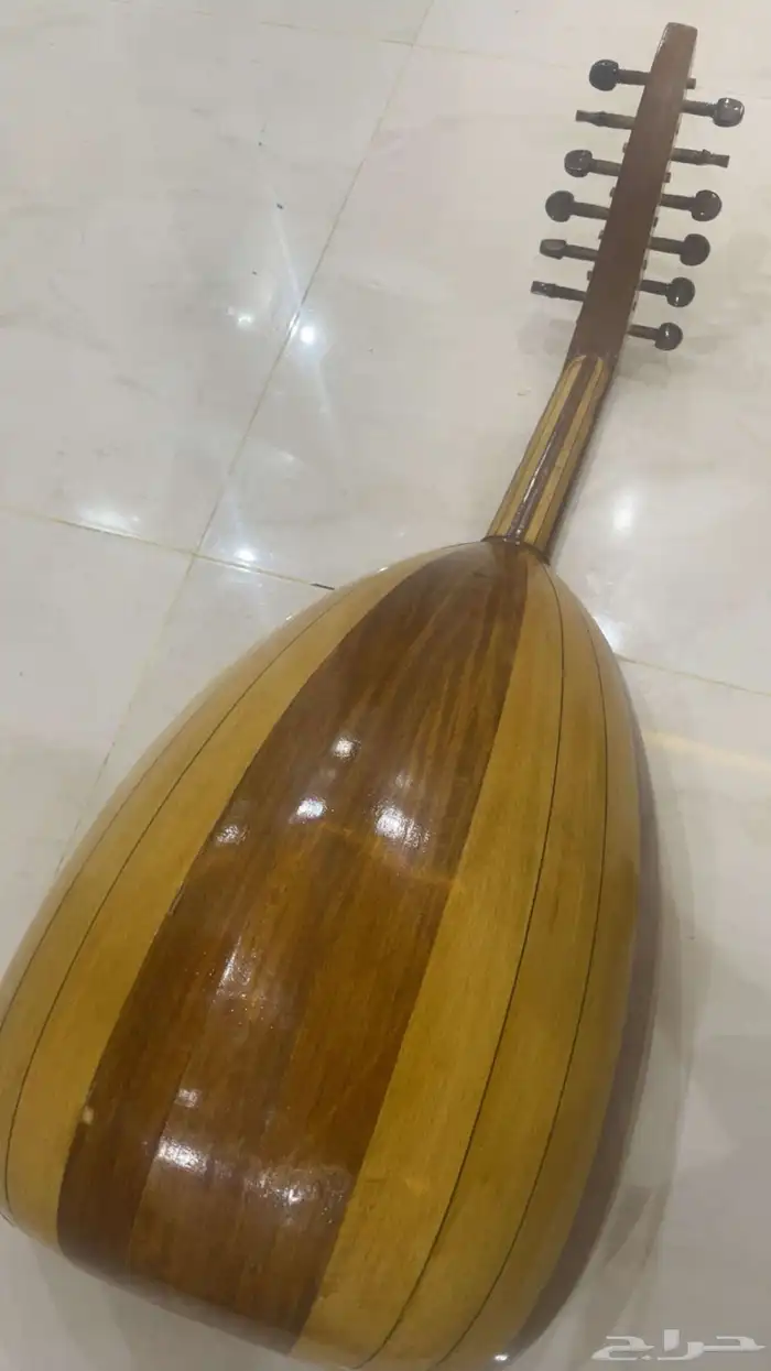 عود مصري 1