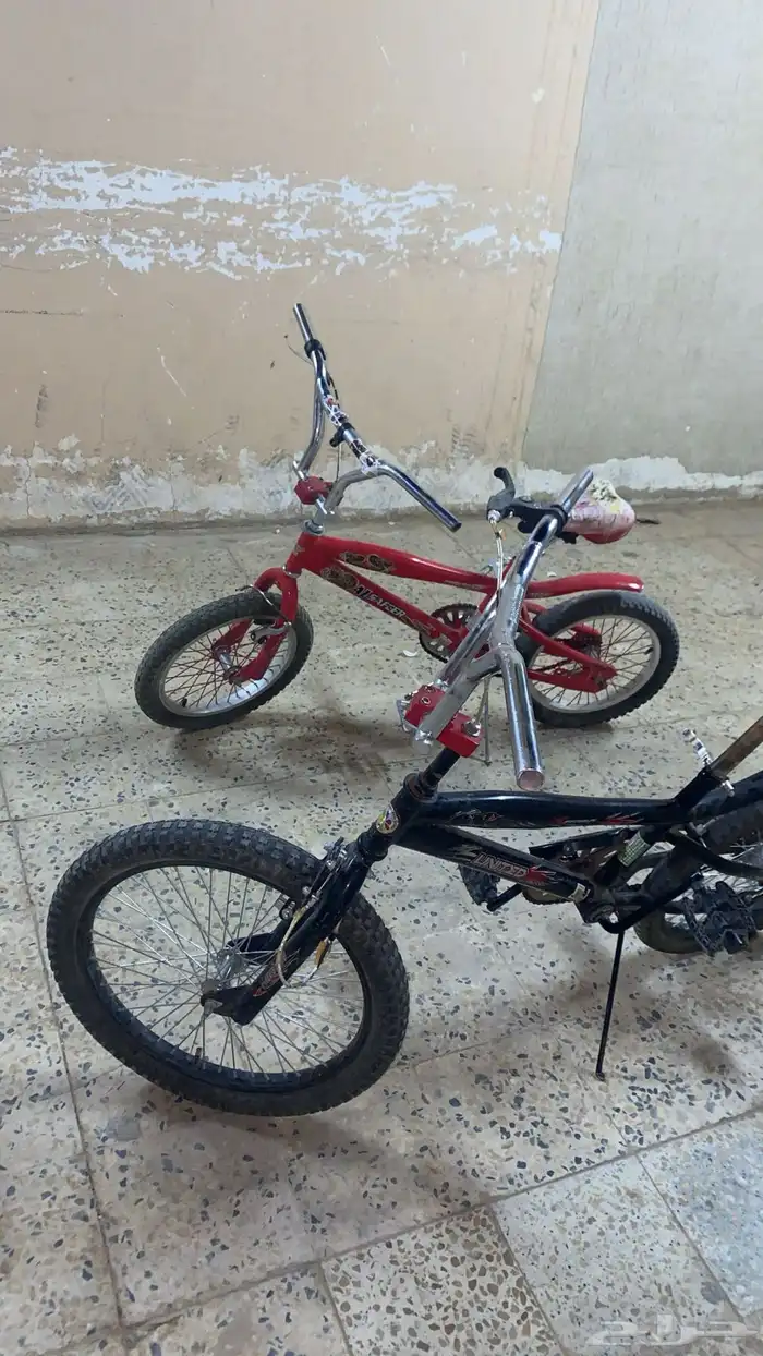 سياكل كوبرا 3