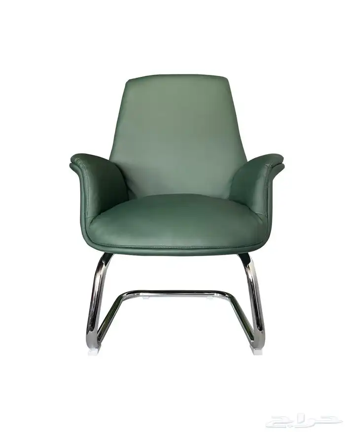 كرأسي جلد كرأسي شبك كرأسي فخم. 70