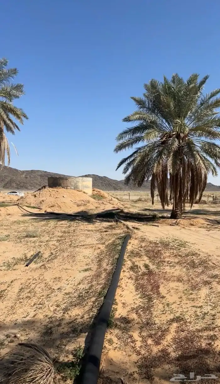 للبيع مساحتها 250 الف 2