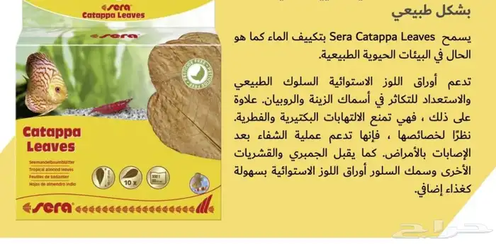 ورق اللوز ألالماني لحوض سمك الزينه 1