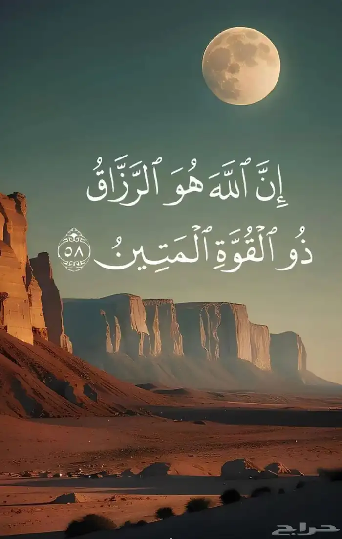 مطلوب قعود. جذع يقبل البدل راعيه ببكره. حقه ما عسفت سلال 0