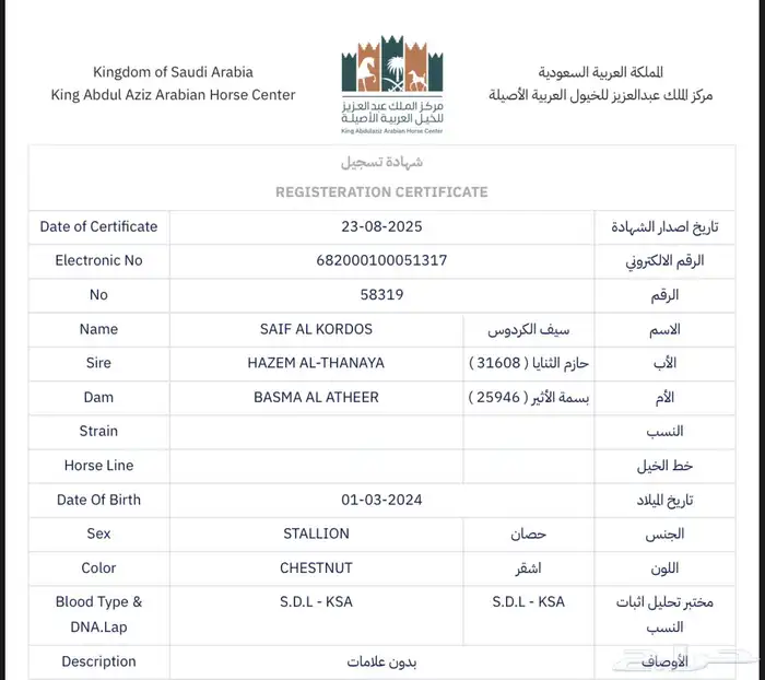 مهر واهو جمال 2