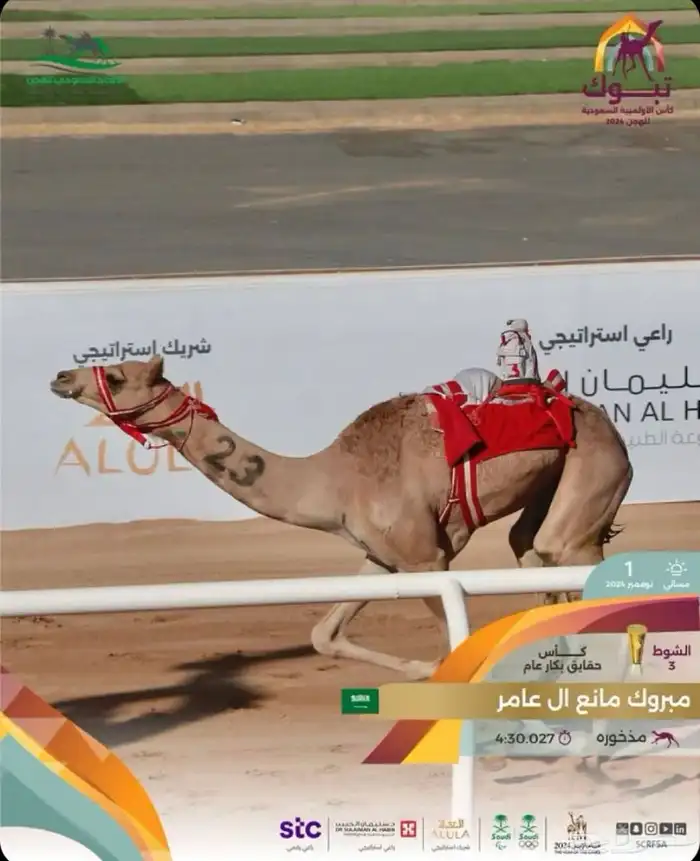 حقه بنت شاهين الحوات الاحمر 8