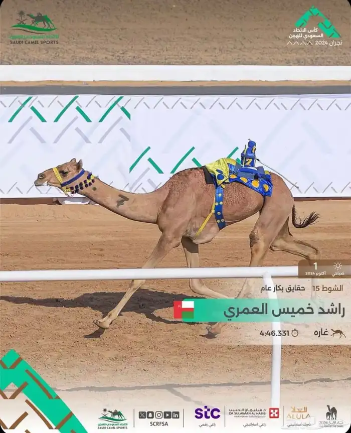 حقه بنت شاهين الحوات الاحمر 5
