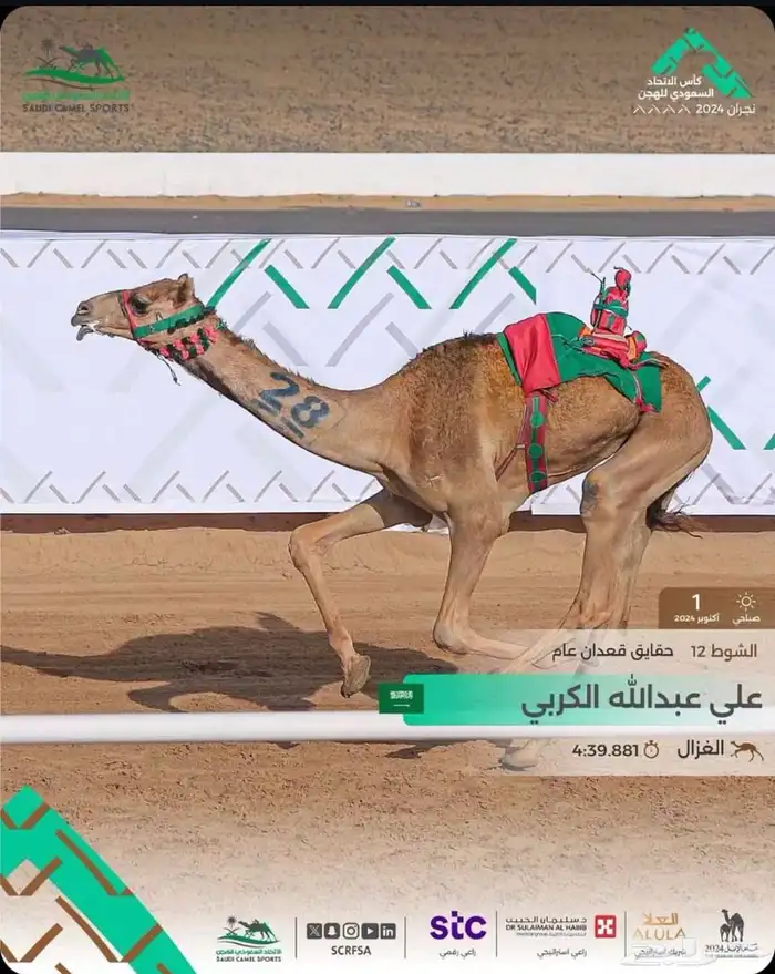 حقه بنت شاهين الحوات الاحمر 4