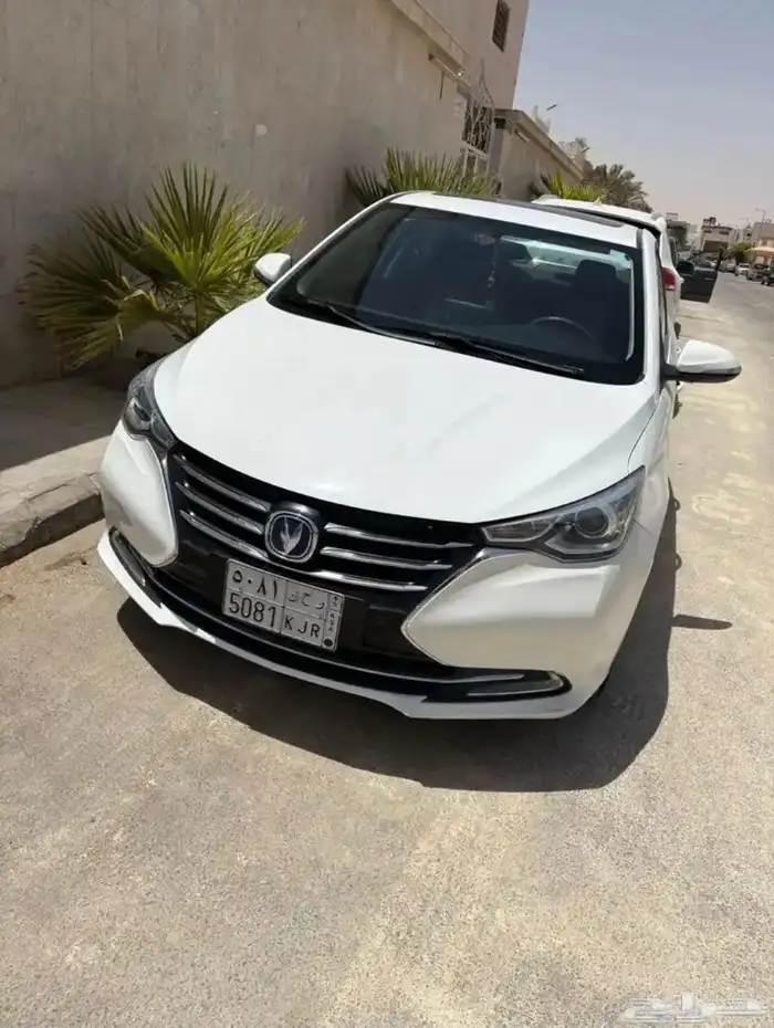 شانجان السفن 0