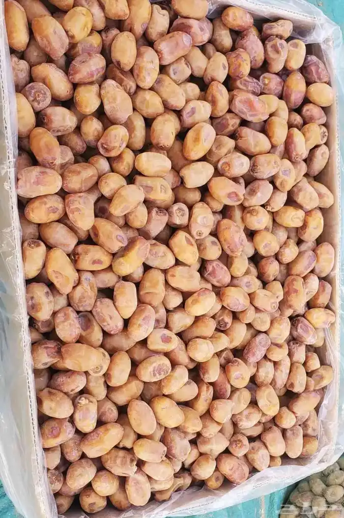 تمر اخلاص حساء فاخر 21كيلو سماد عضوي 3