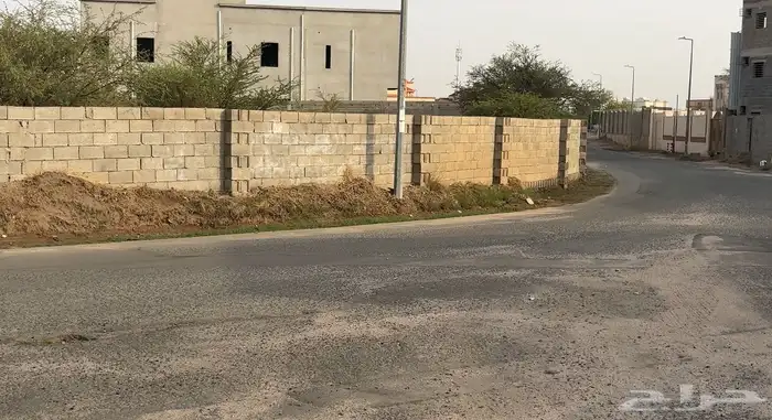 أرض زراعية للإيجار 1