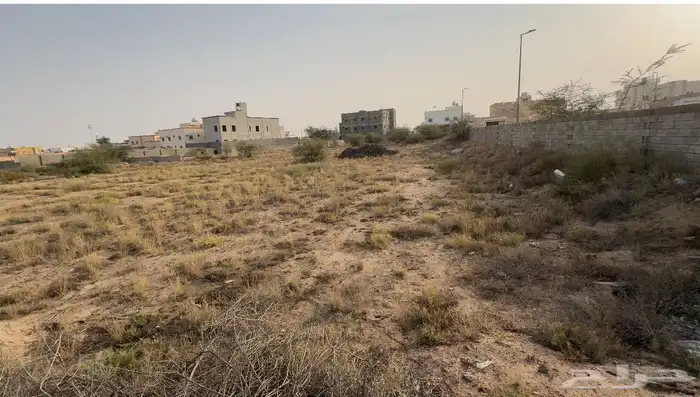 أرض زراعية للإيجار 3