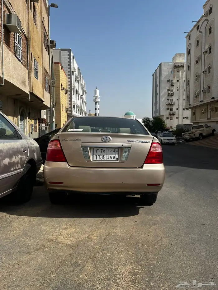 كوريلا 2006 1