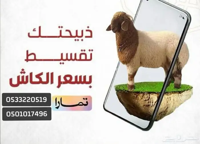 ذبايح نعيمي حري متوفر تمارا 0