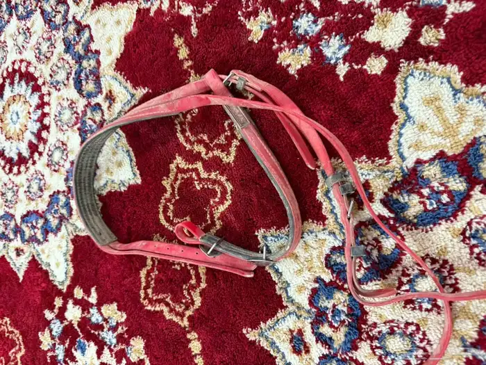 مستلزمات خيل نظيفه شرط بسعر مناسب من افضل الانواع لبطات 3