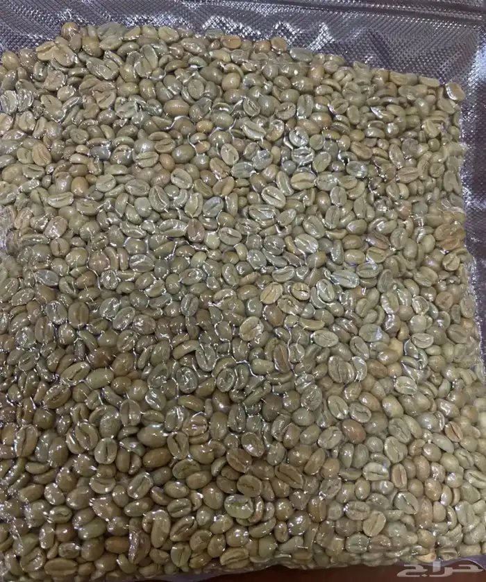 بن اخضر مختص قهوة خضراء 3