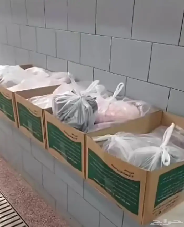 ذبايح حري نعيمي نجدي تيوس عوارض يوجد خدمه الذبح والتوصيل 19