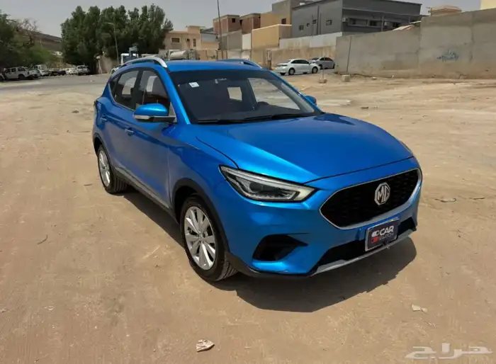 mg zs 0