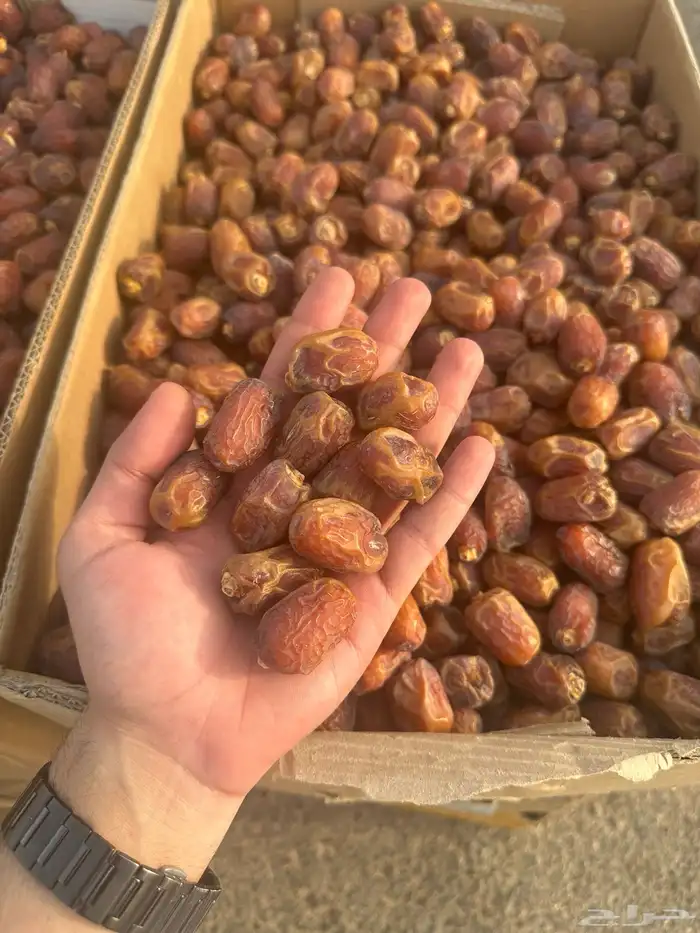تمر خلاص وادي 1