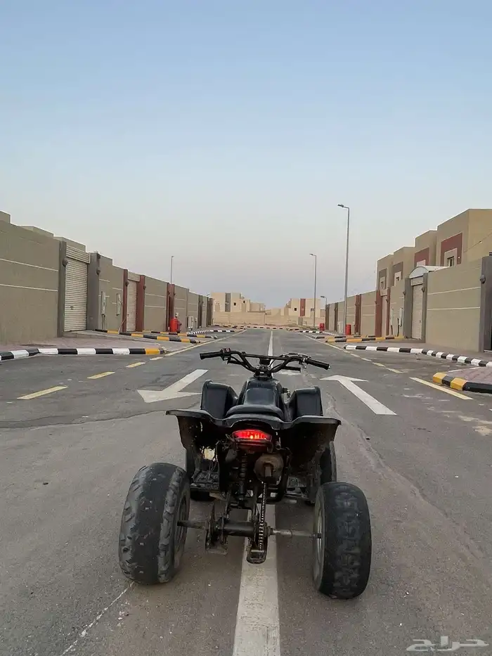 تيواني اسودي ادخل مراح تندم. 5