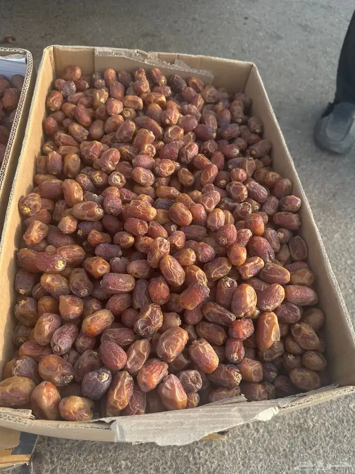 تمر خلاص وادي 2