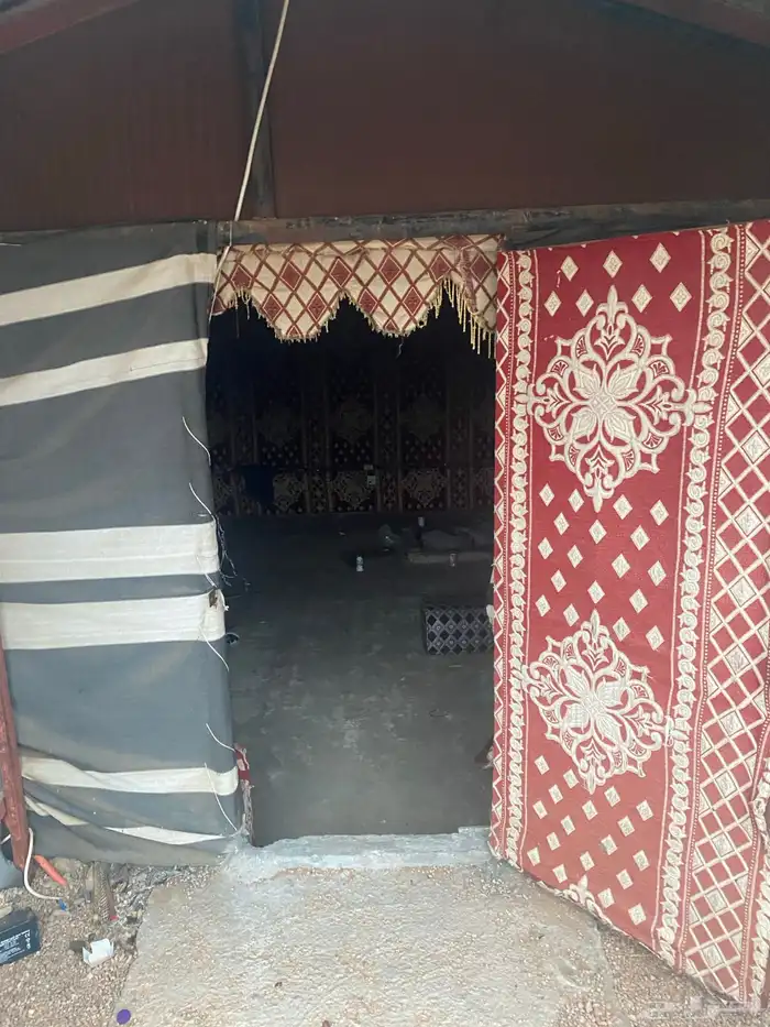 حوش اغنام 3