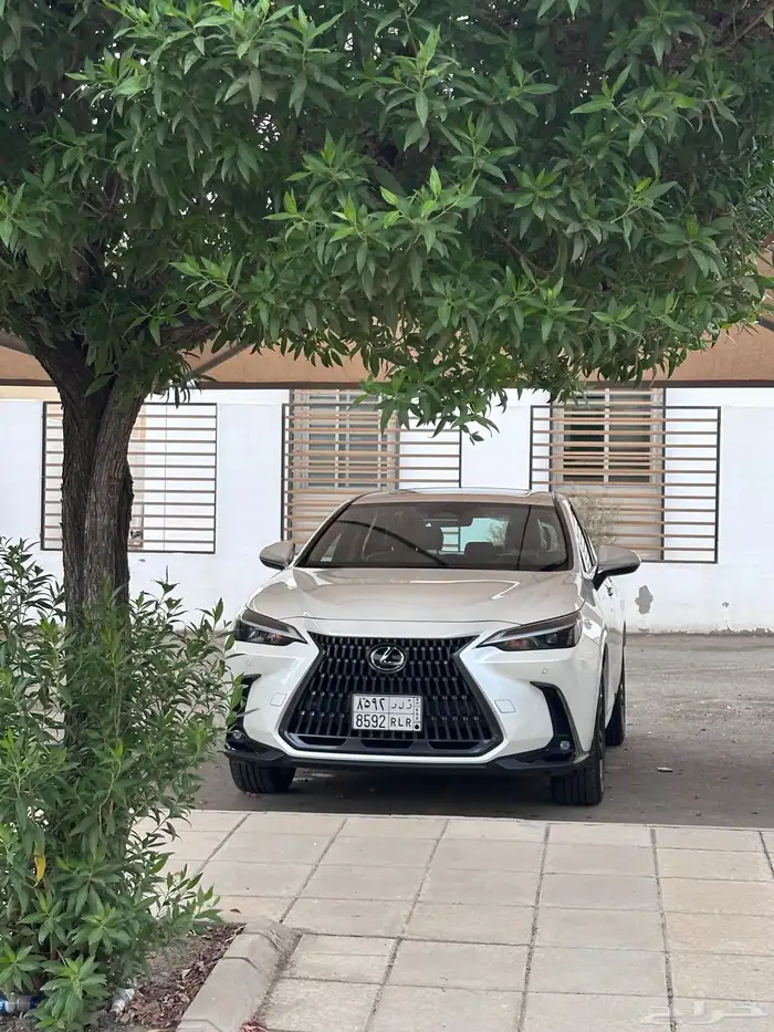 لكزس ان اكس 350 7