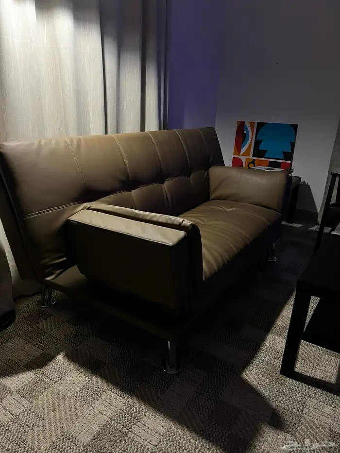 Sofa bed and fancy chair 2