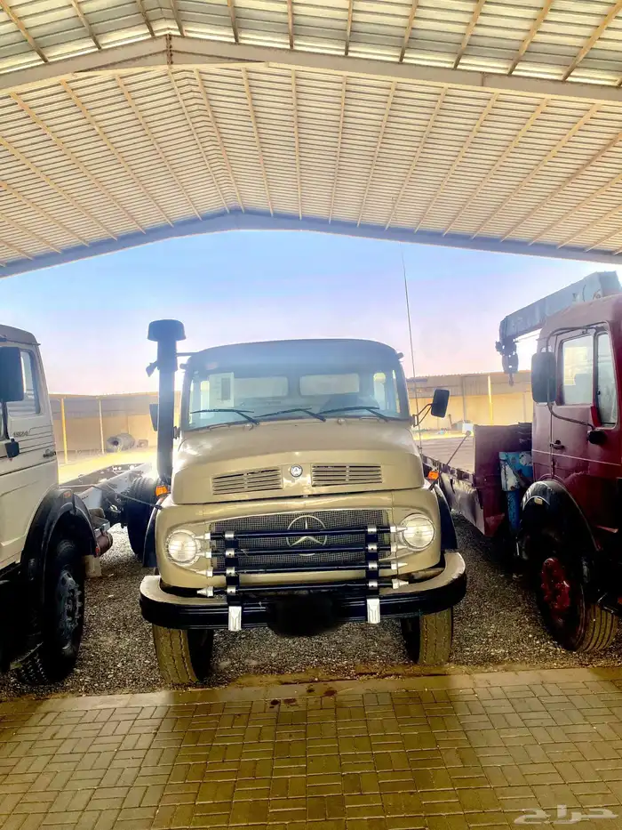 عايدي جفالي1976 1