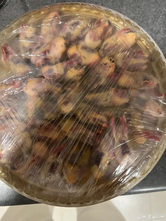 طيور للبيع 3