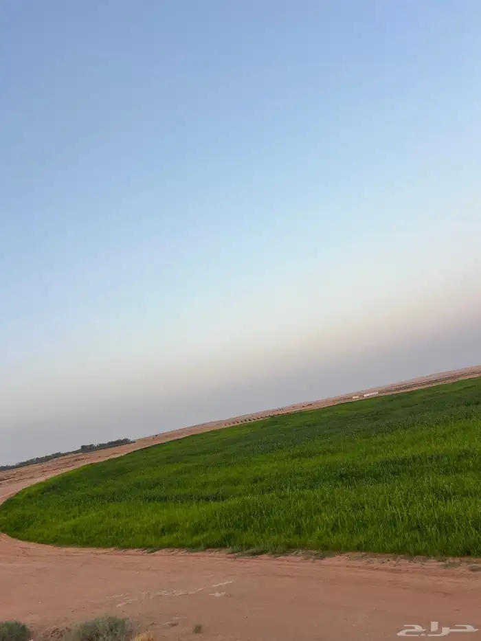 رشاش دخن للبيع 2