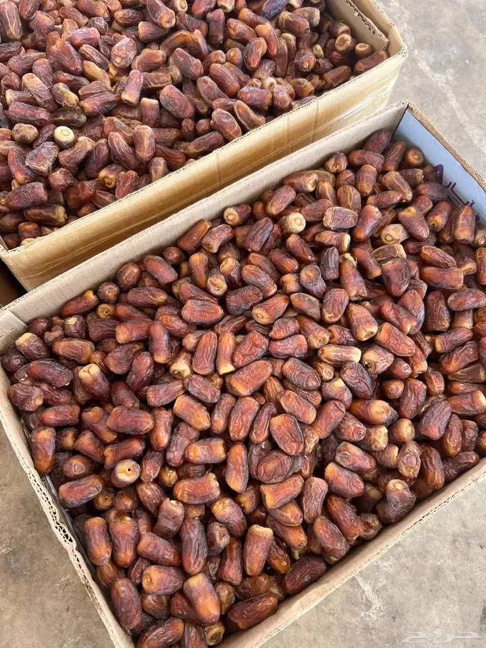 تمر برني العيص حبة طيبة 0