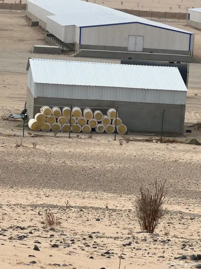 مشروع دواجن لاحم مغلق جاهز لشغل 3