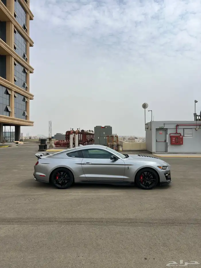موستنج شلبي 2021 عالضمان 3