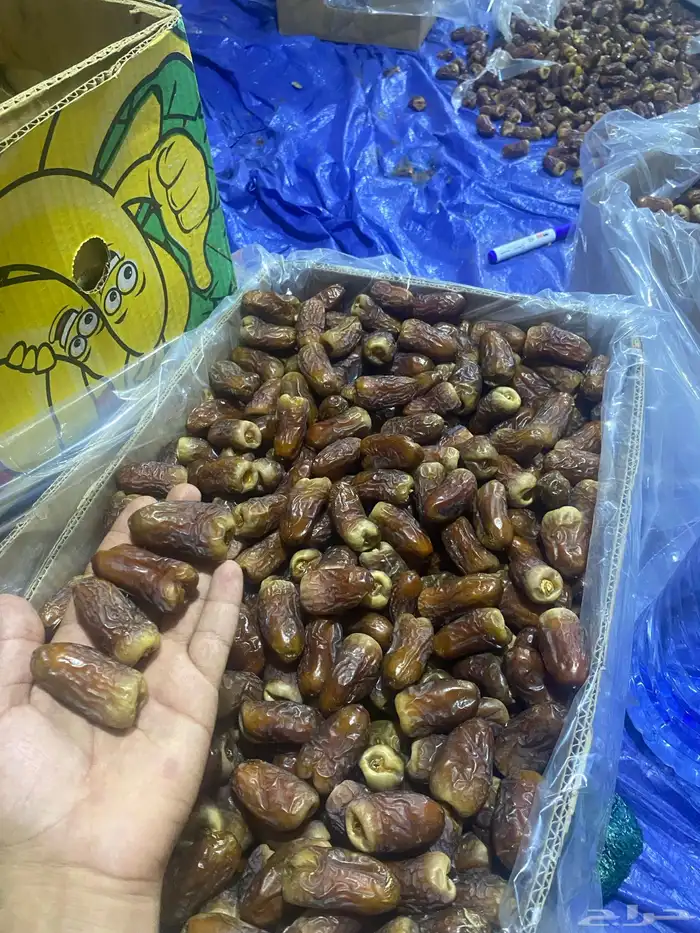 برني الفرع( العيص) كرتون 17 كيلو - السعر - 650 0