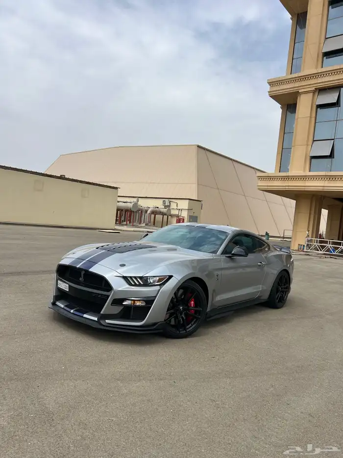 موستنج شلبي 2021 عالضمان 9