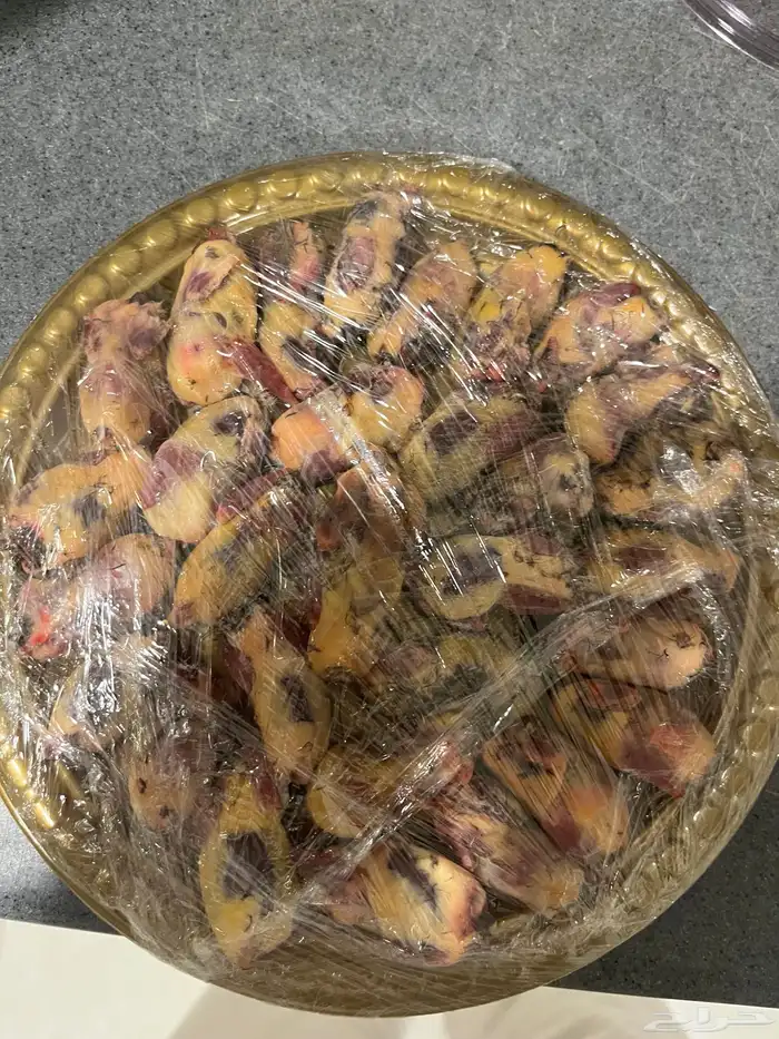 طيور للبيع 4