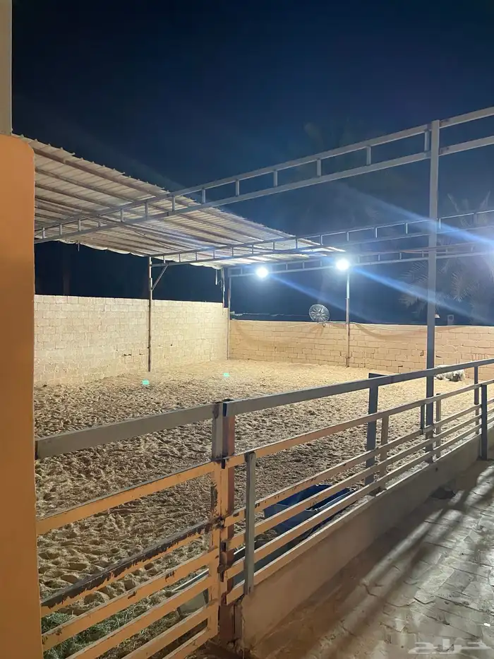 غرف ايواء خيل في موقع مميز وادي حنيفة 1