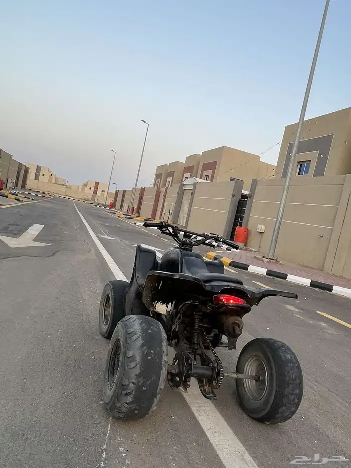 تيواني اسودي ادخل مراح تندم. 4
