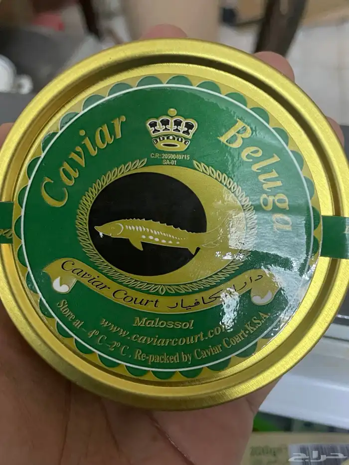 سمك الكافيهار 0