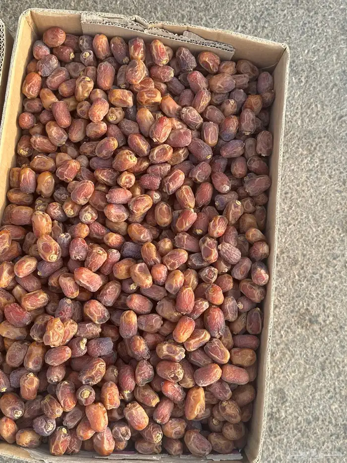 تمر خلاص وادي 0