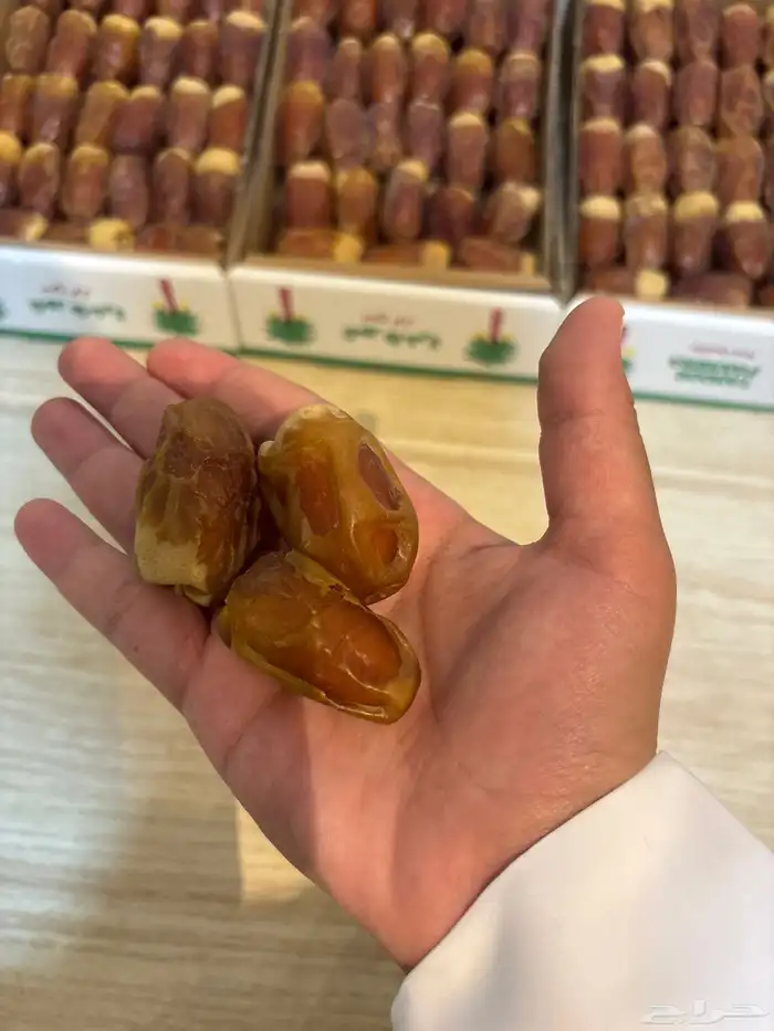 تمر صقعي 1