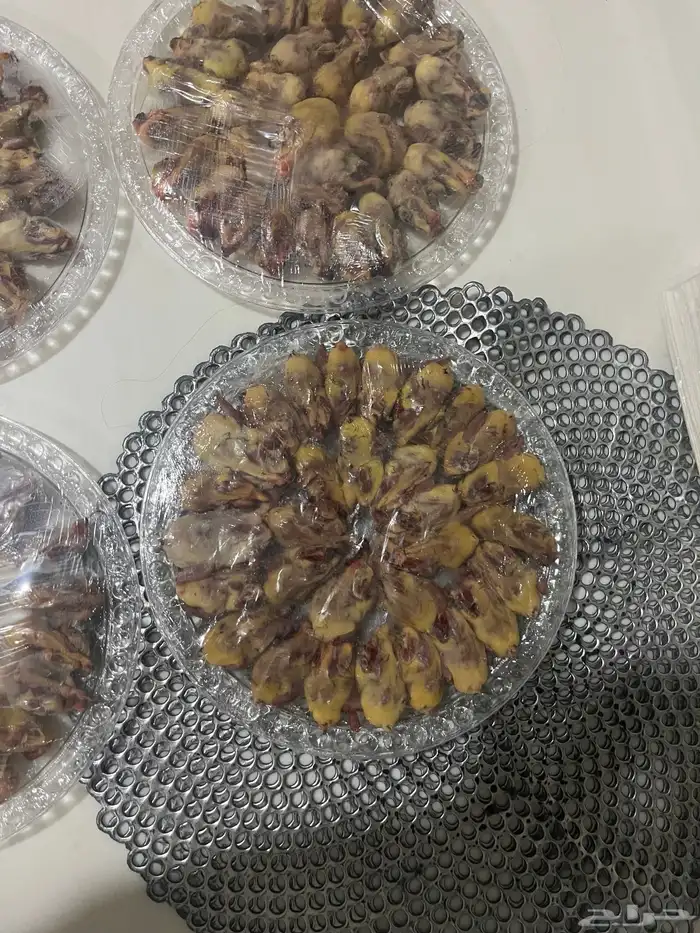 طيور للبيع 0