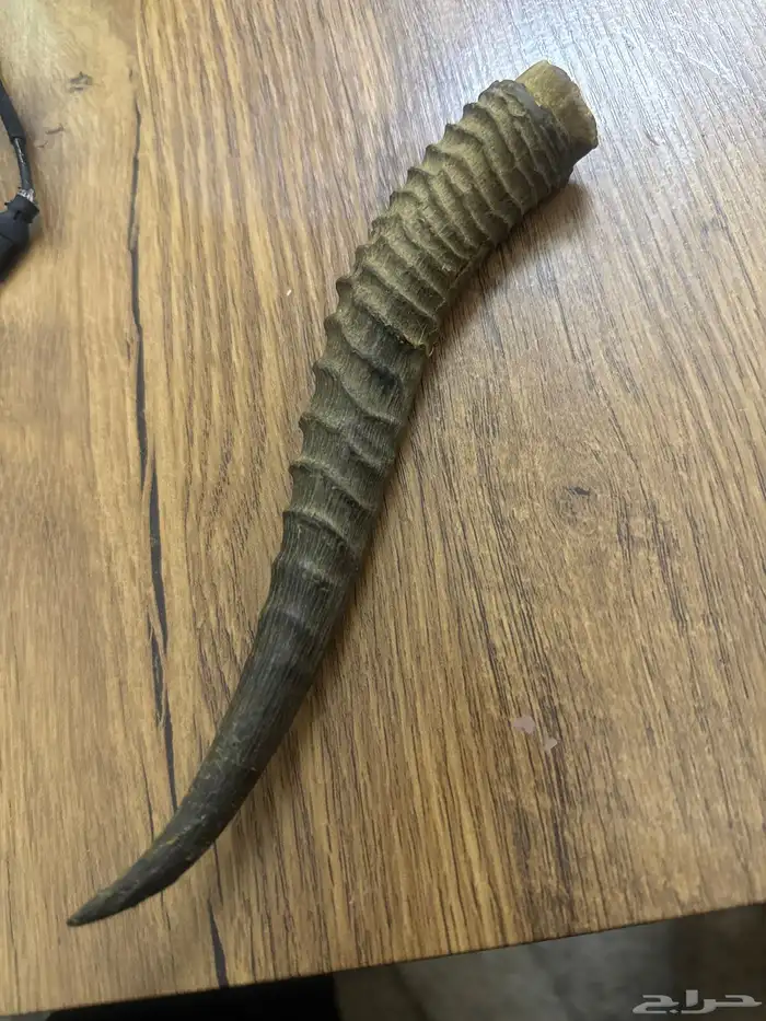 تراث 0