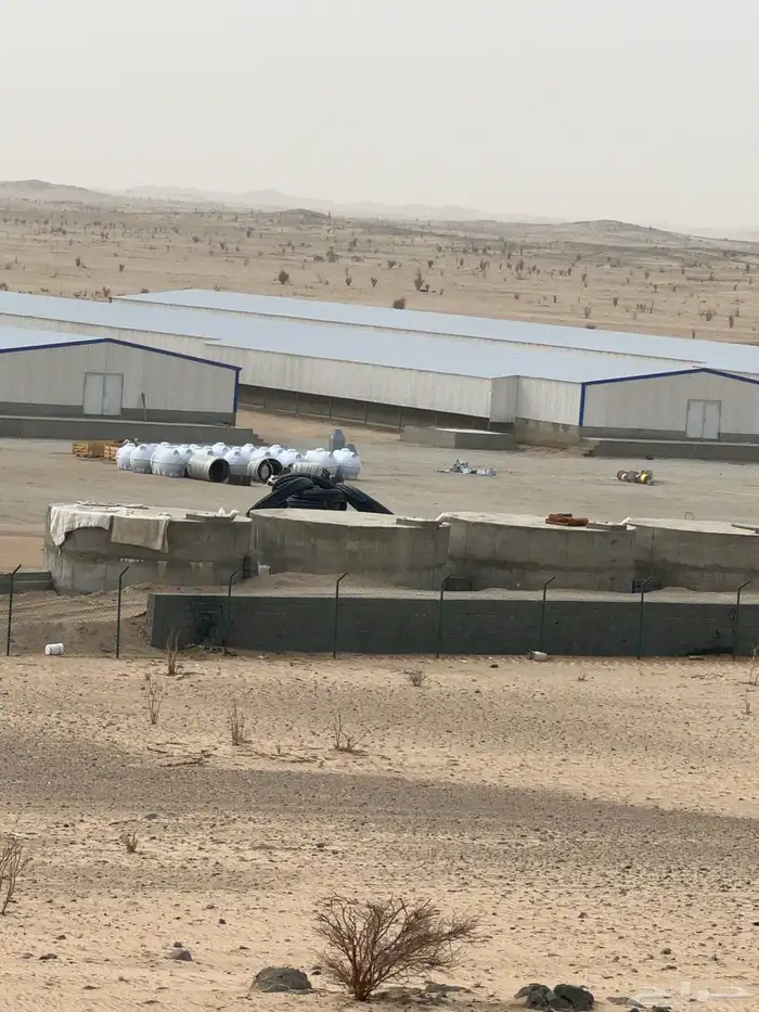 مشروع دواجن لاحم مغلق جاهز لشغل 2