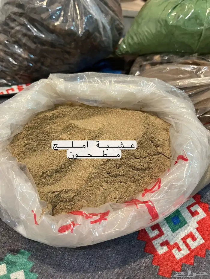 سدر وحنا ينبع النخل عضوي بدون إضافات 27