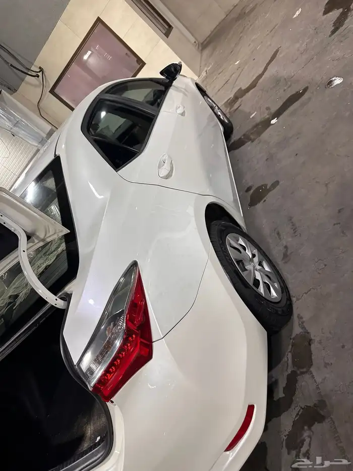 القطيف 4